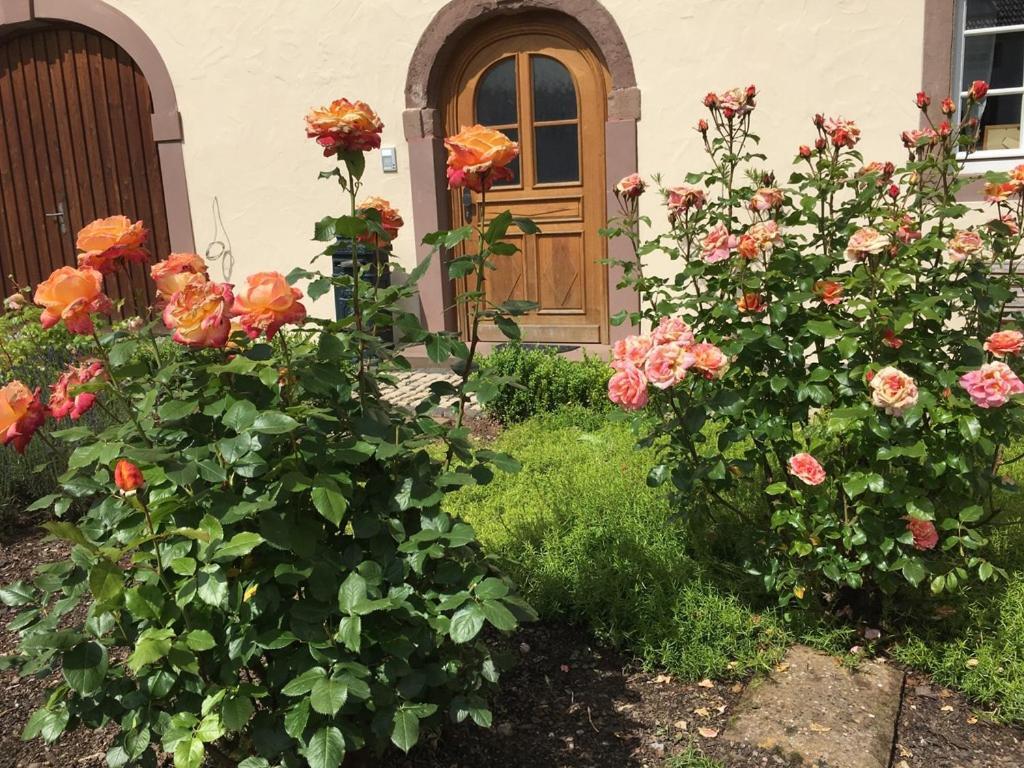 Ferienwohnung In Historischem Bauernhaus In Der Eifel Mettendorf Екстериор снимка